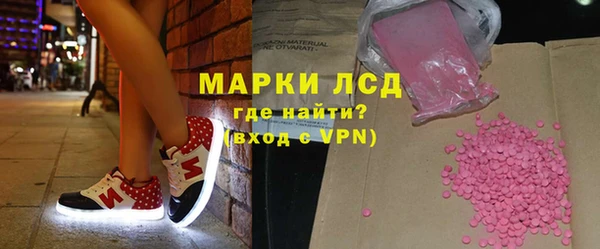 стаф Аркадак