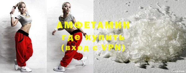 стаф Аркадак