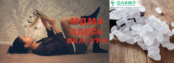 стаф Аркадак
