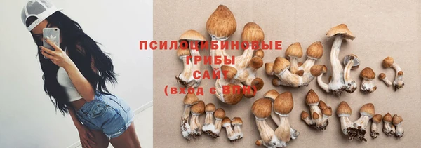 прущая мука Арсеньев