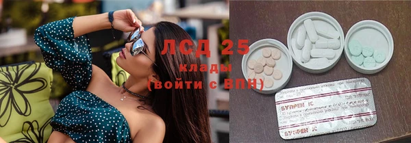 прущая мука Арсеньев